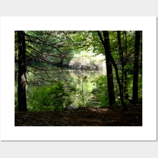 Late Summer at Walden Pond Posters and Art